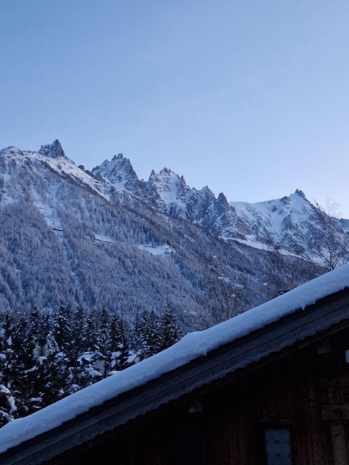 Appartement Ensoleille Aux Tines, Vue Massif Chamonix Exterior photo